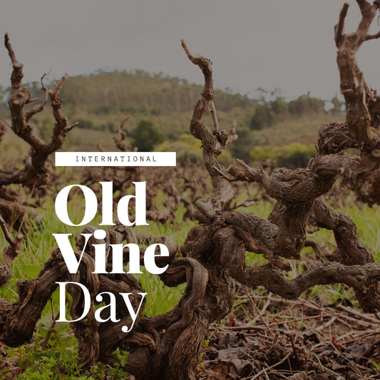 Celebrating Old Vine Day 2024