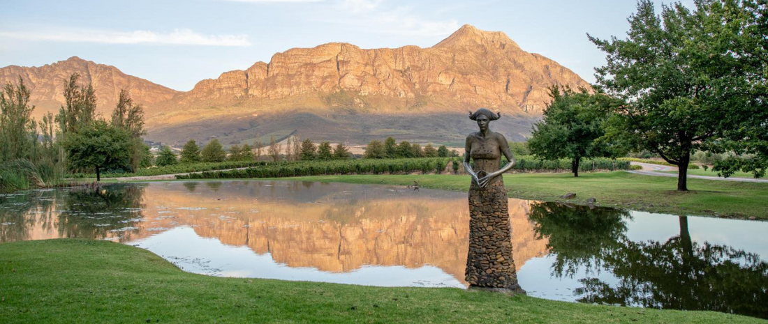 Winery Showcase: Saronsberg