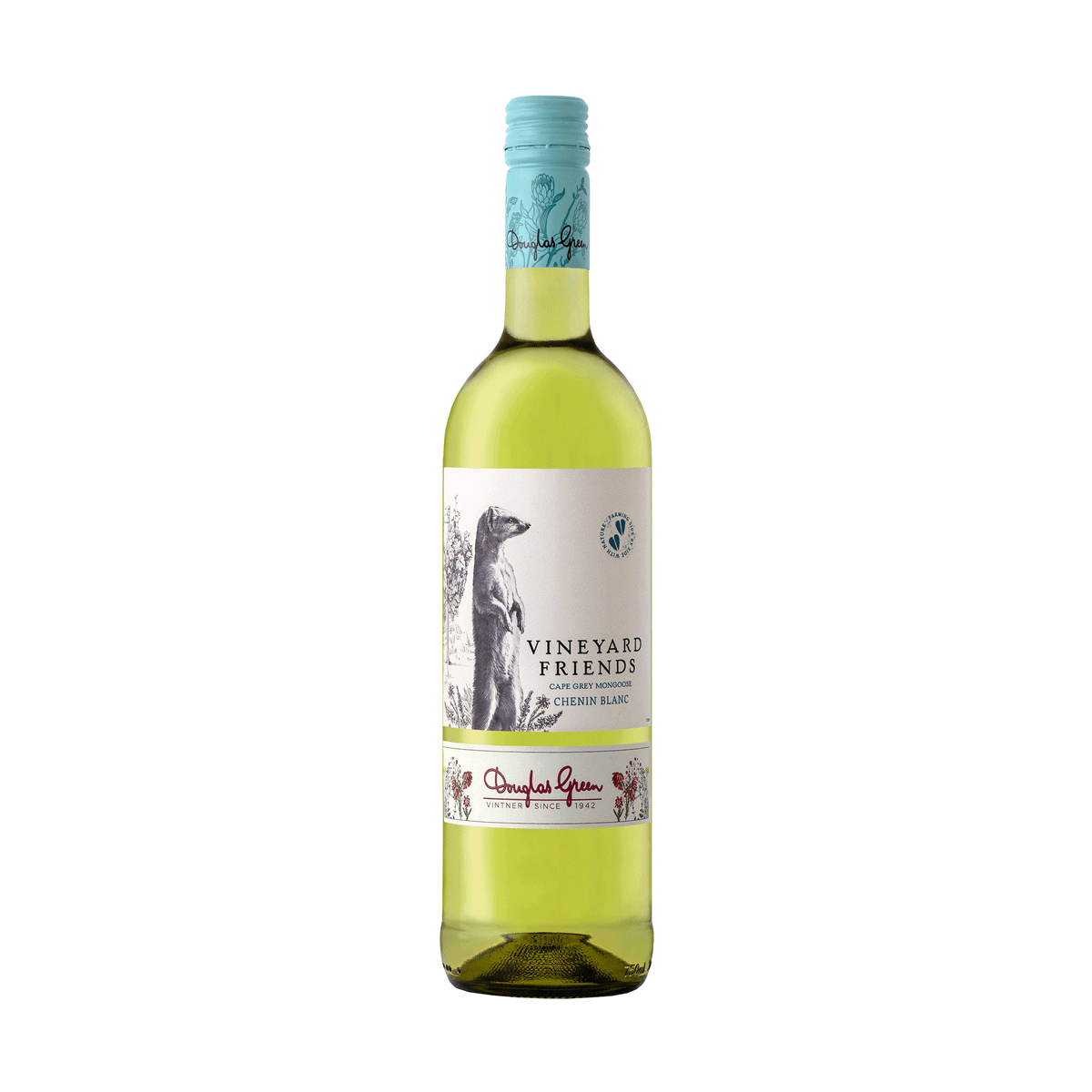 Buy Vineyard Friends Cape Grey Mongoose Chenin Blanc 2021 online