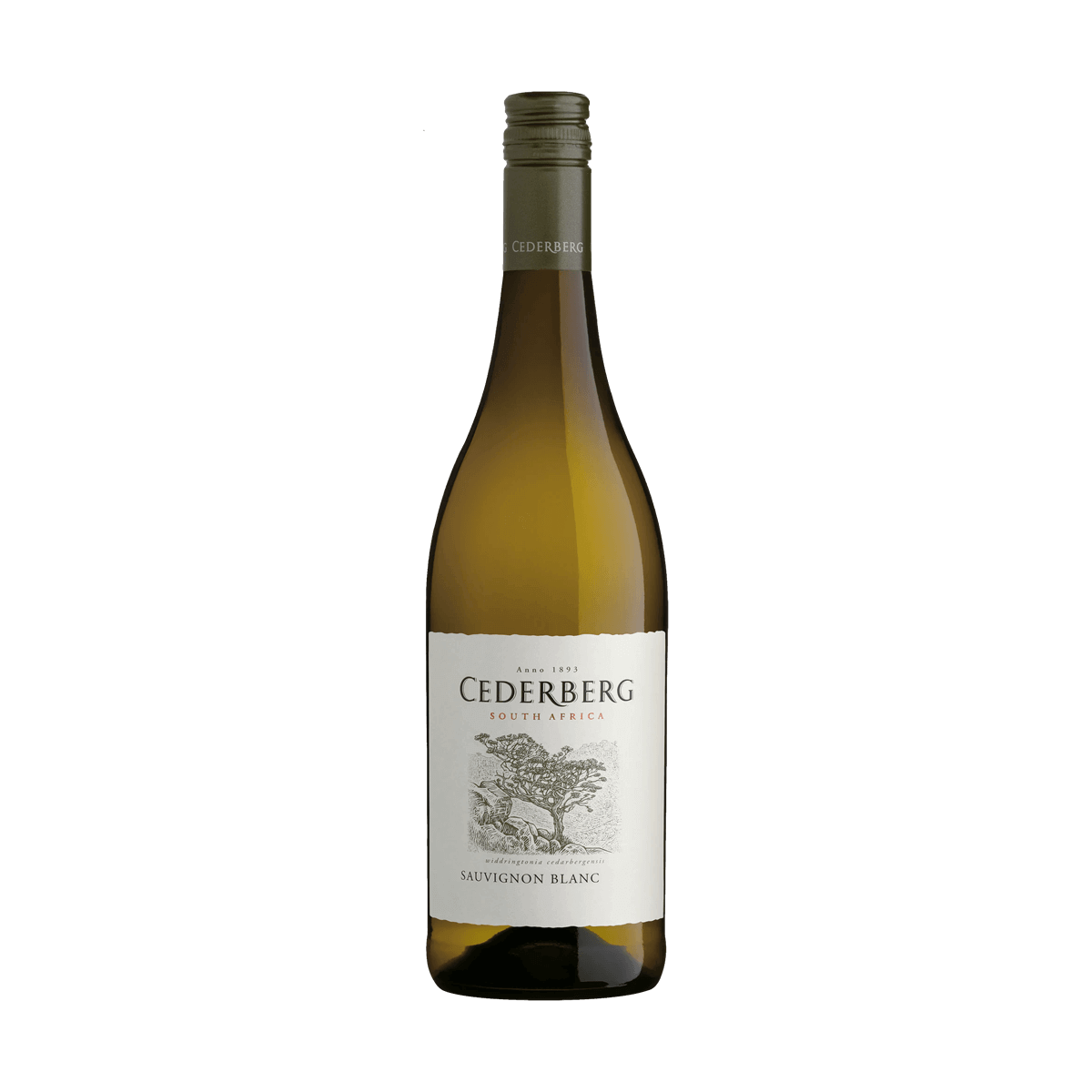 Buy Cederberg Sauvignon Blanc 2023 online