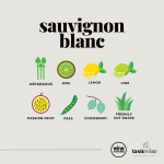 A Taste of Sauvignon Blanc