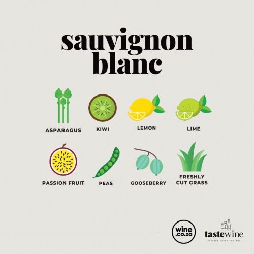 Taste of Sauvignon Blanc Mixed Case 2025
