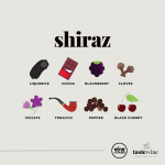 A Taste of Shiraz