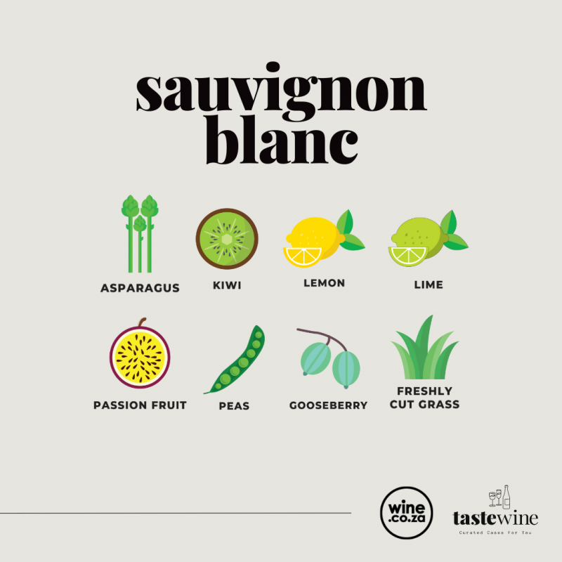 Taste of Sauvignon Blanc Mixed Case 2025