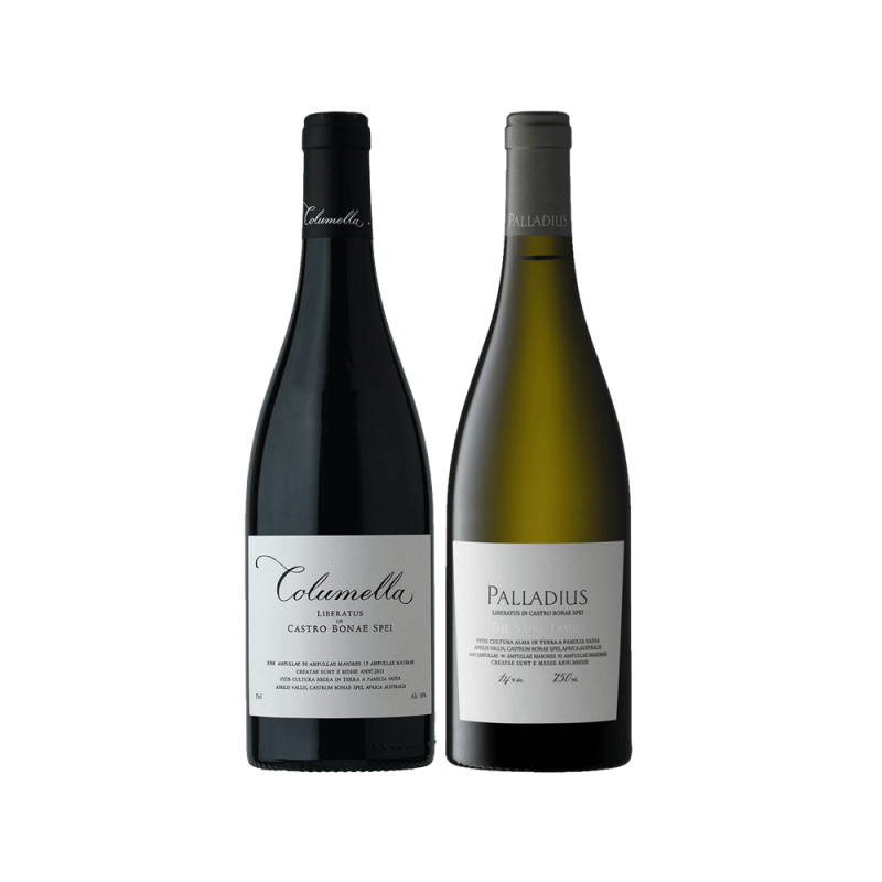 The Sadie Family Mixed Case - Twin Pack